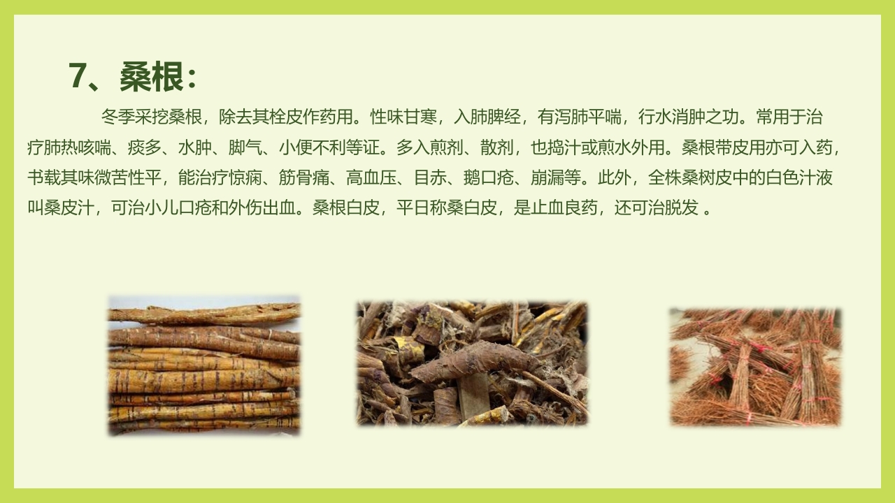 循着桑椹足迹·普及科学知识PPT课件27