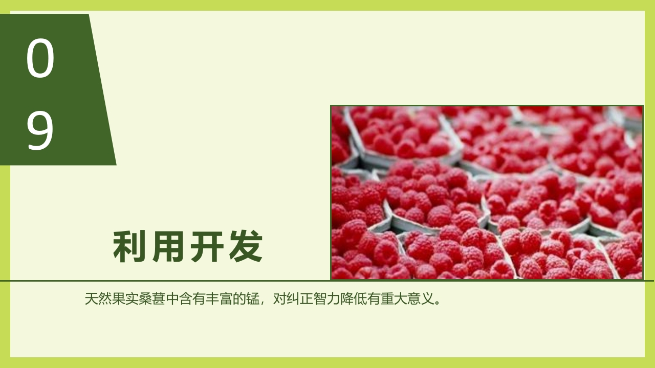 循着桑椹足迹·普及科学知识PPT课件28