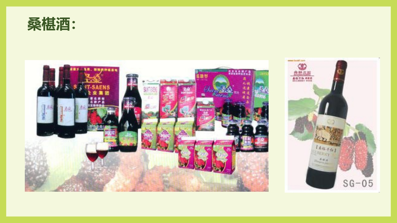 循着桑椹足迹·普及科学知识PPT课件29