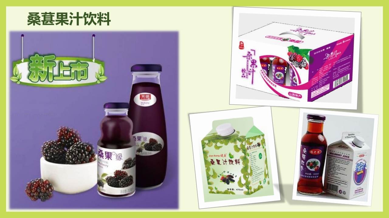 循着桑椹足迹·普及科学知识PPT课件31