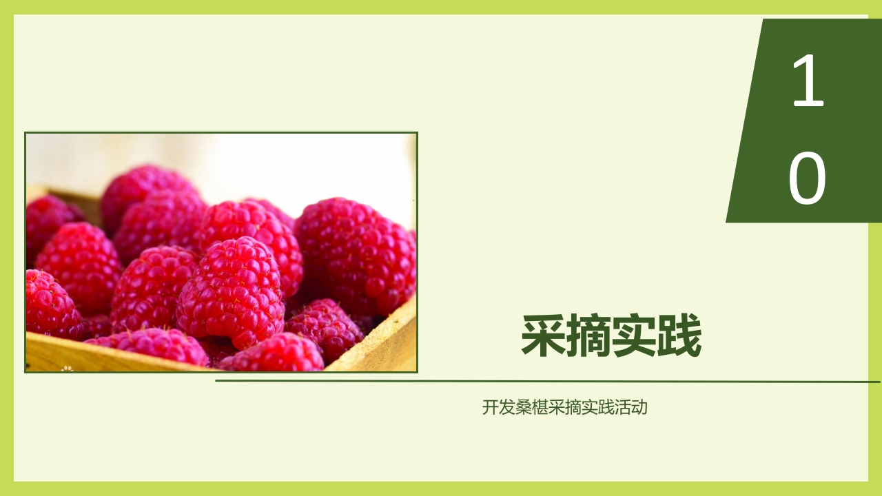 循着桑椹足迹·普及科学知识PPT课件33