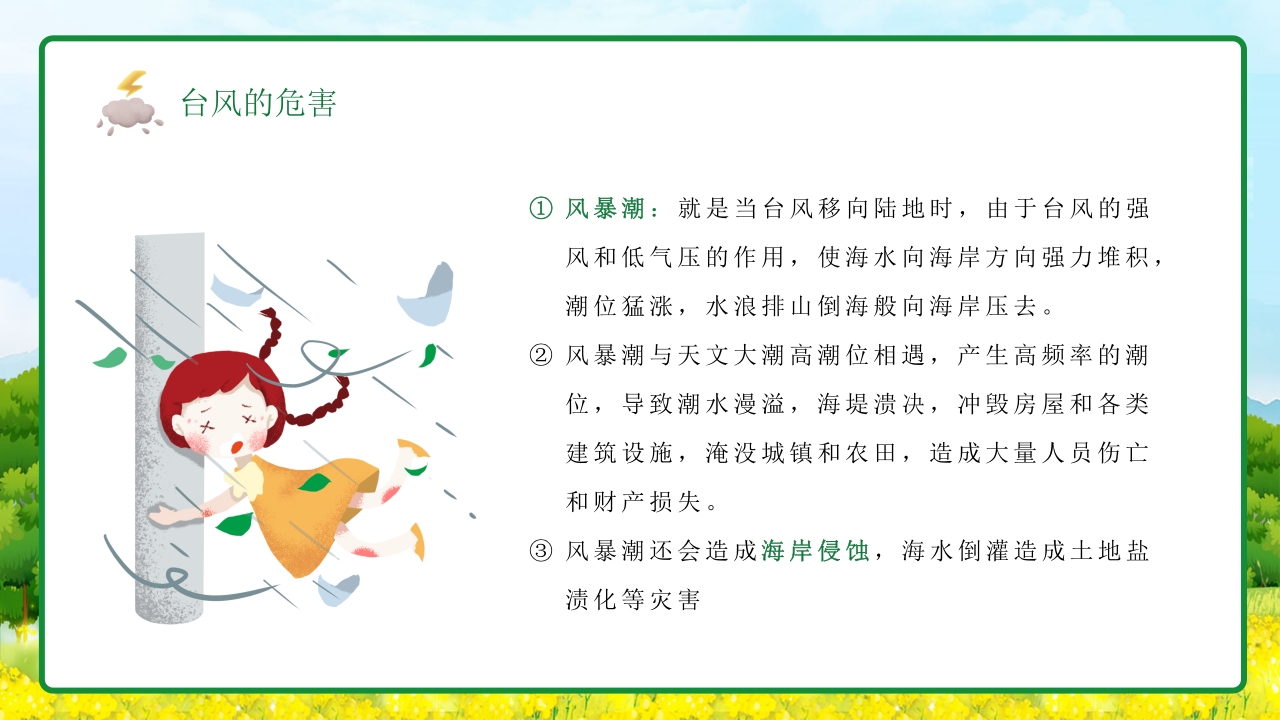 插画风防台风安全教育培训知识科普PPT课件11