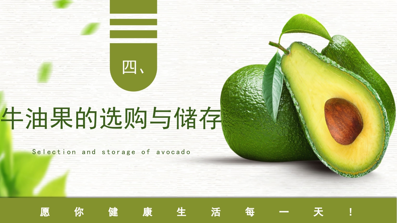 牛油果知识介绍科普PPT课件12