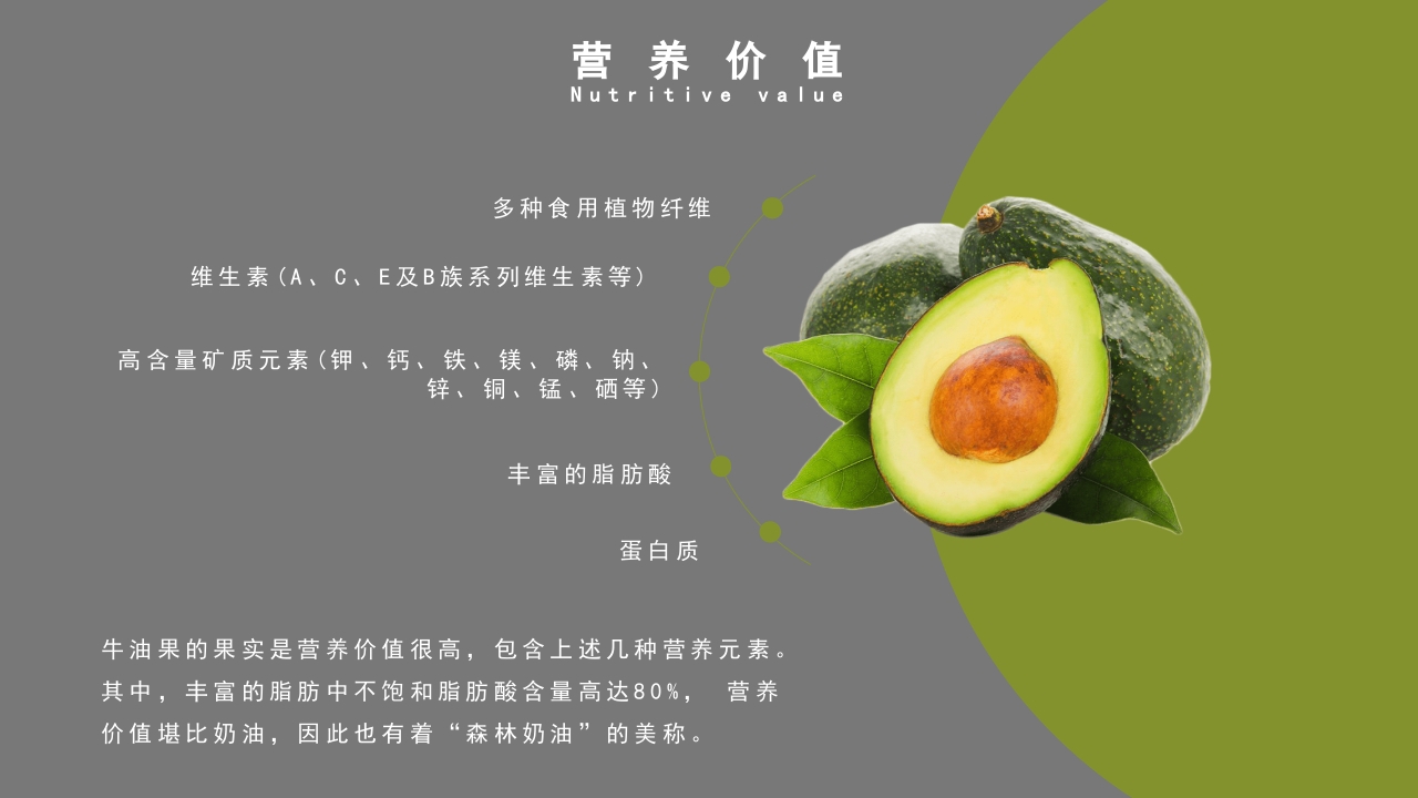 牛油果知识介绍科普PPT课件8
