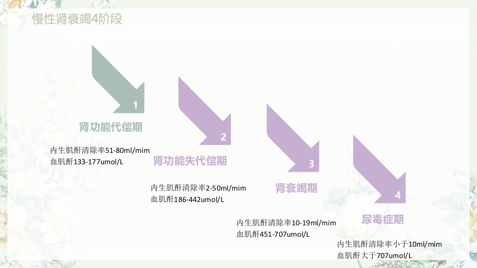 肾功能不全护理PPT课件下载20
