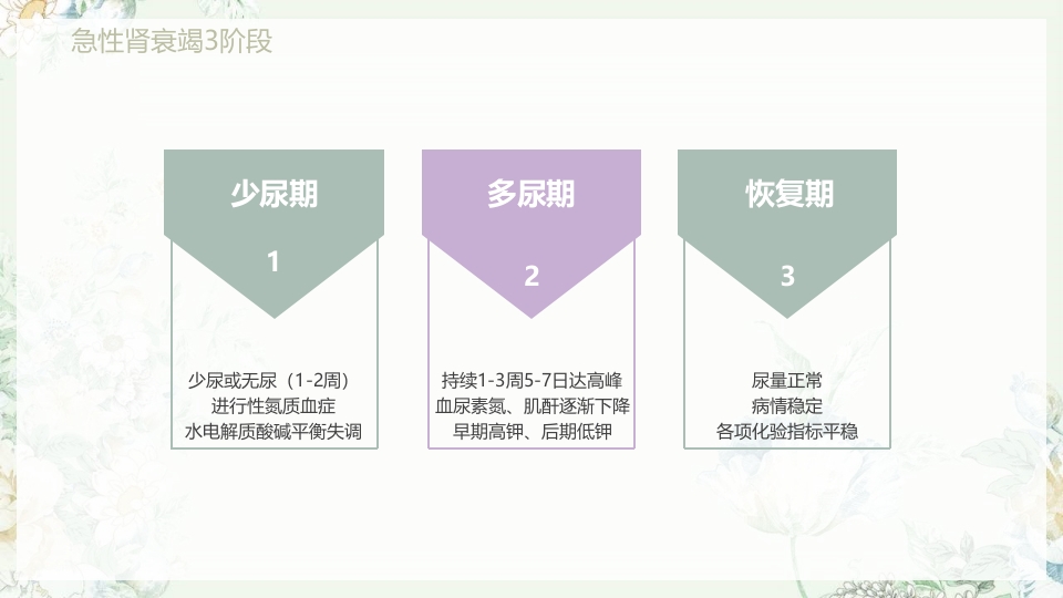 肾功能不全护理PPT课件下载22