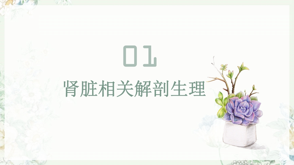 肾功能不全护理PPT课件下载3