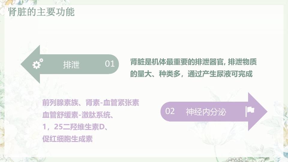 肾功能不全护理PPT课件下载7