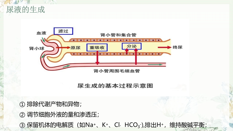 肾功能不全护理PPT课件下载8