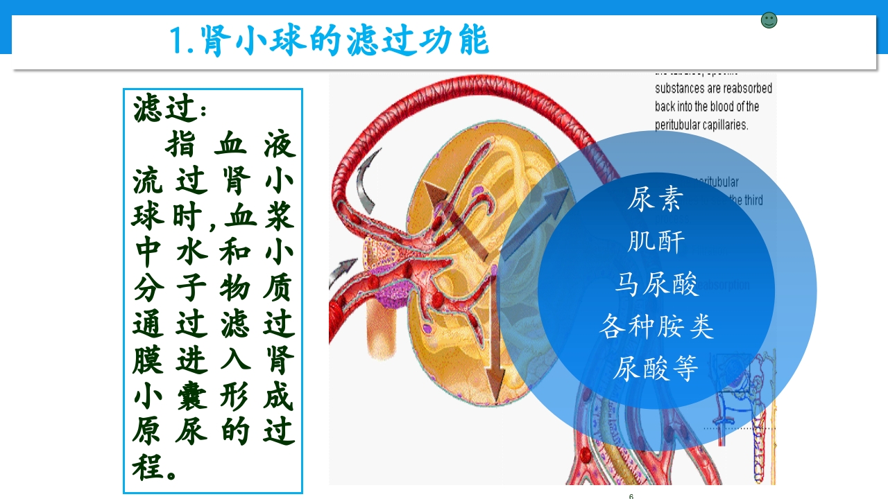 肾功能不全患者合理用药与监护ppt6