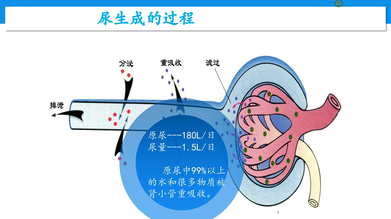 肾功能不全患者合理用药与监护ppt7