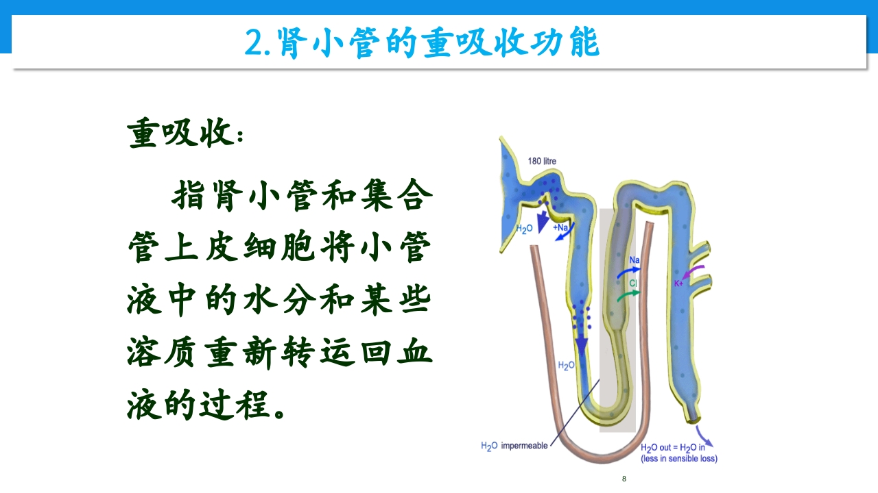 肾功能不全患者合理用药与监护ppt8