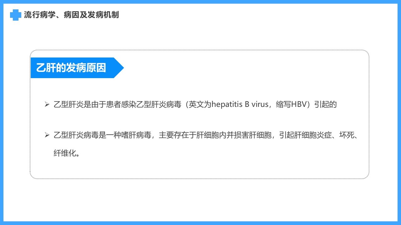 医疗疾病预防慢性肝炎简介PPT课件12