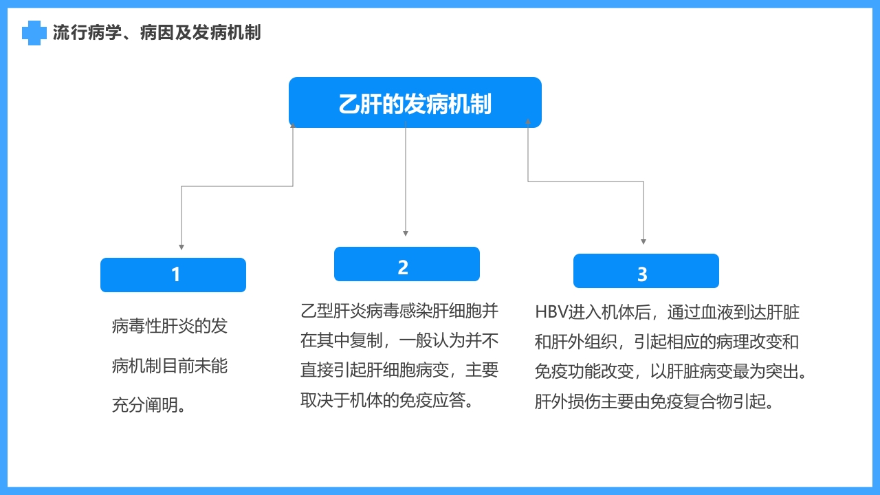 医疗疾病预防慢性肝炎简介PPT课件13