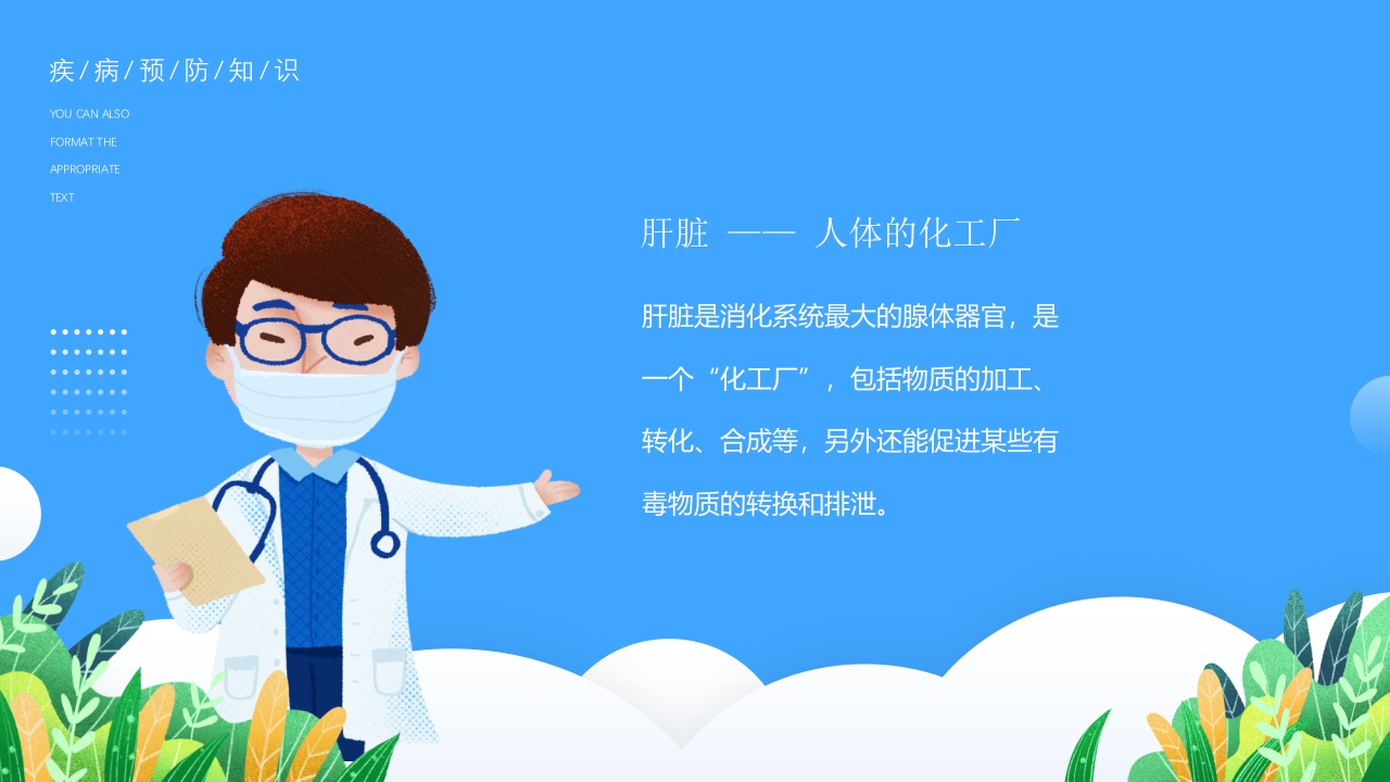 医疗疾病预防慢性肝炎简介PPT课件2