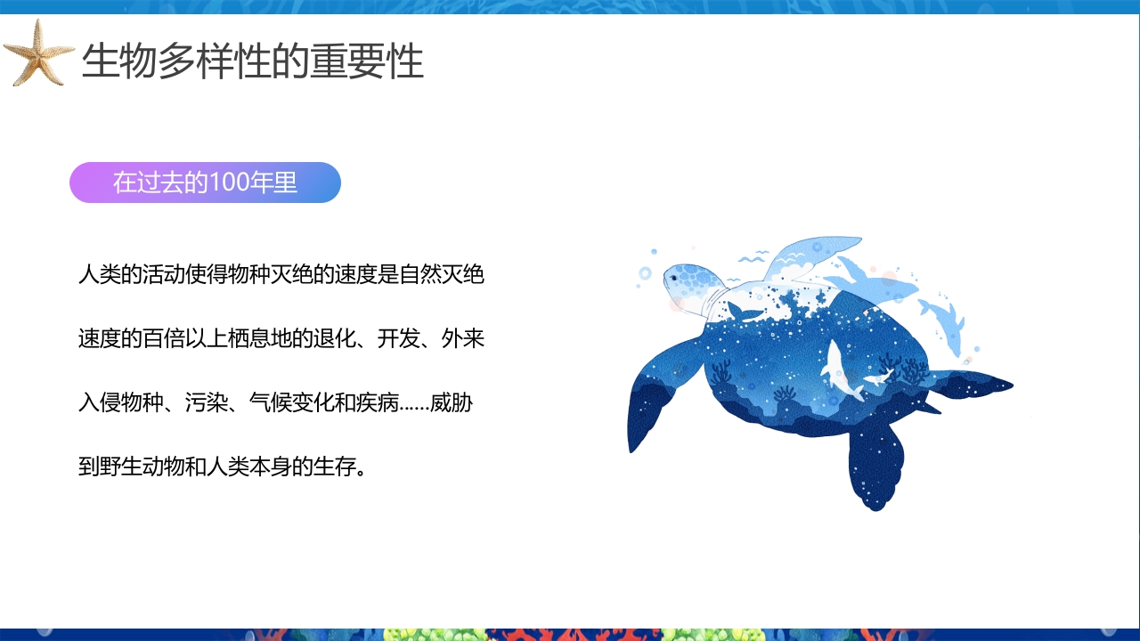 2024年第24个国际生物多样性日PPT课件10