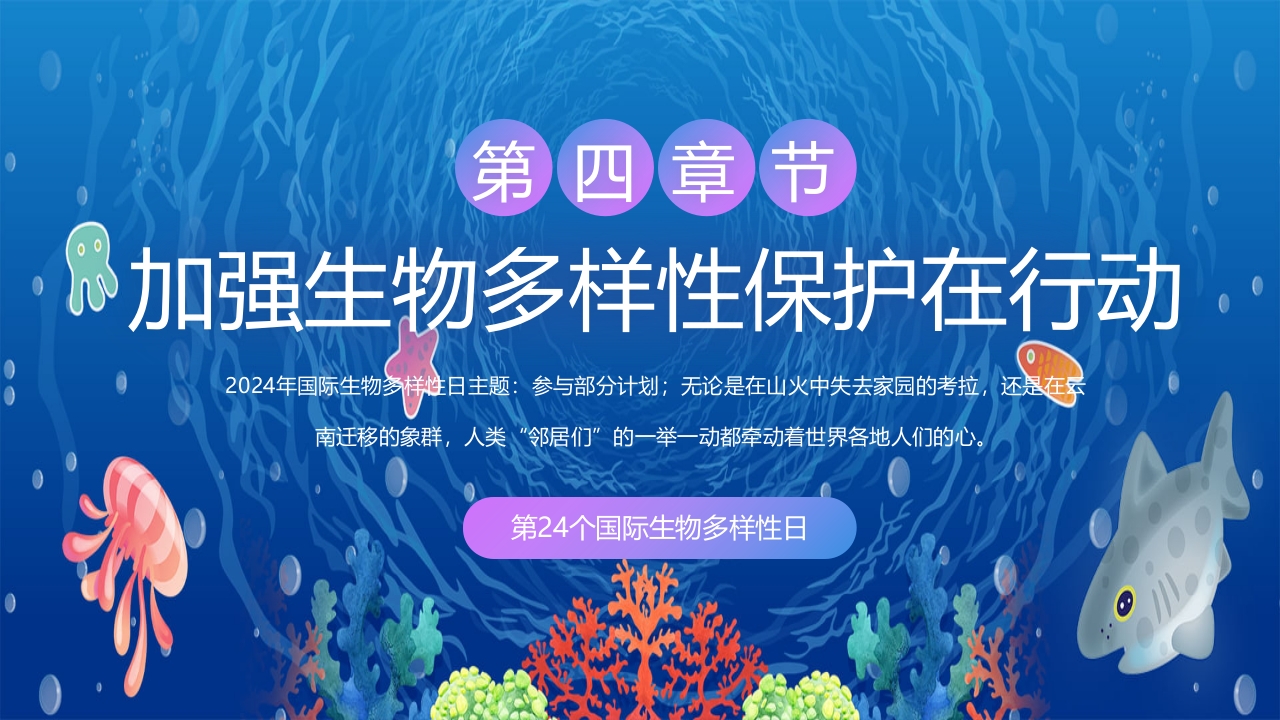 2024年第24个国际生物多样性日PPT课件13