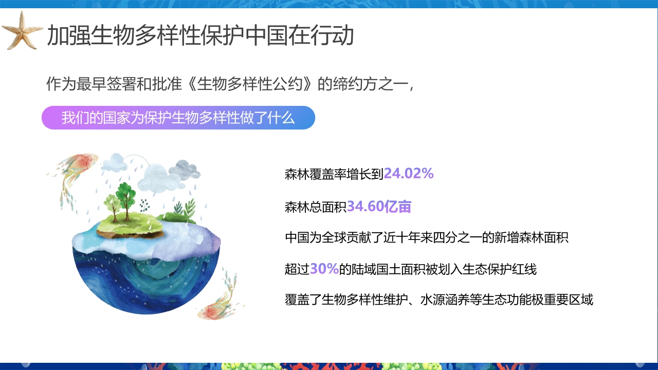 2024年第24个国际生物多样性日PPT课件14