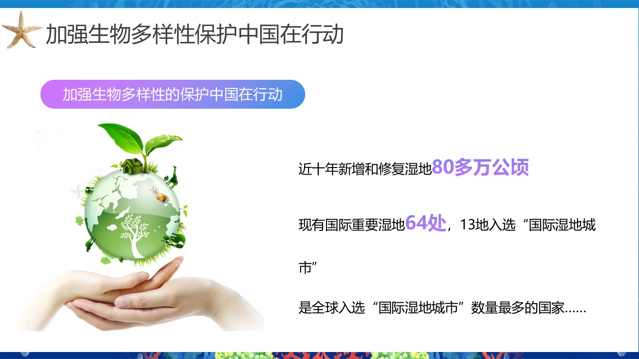 2024年第24个国际生物多样性日PPT课件15