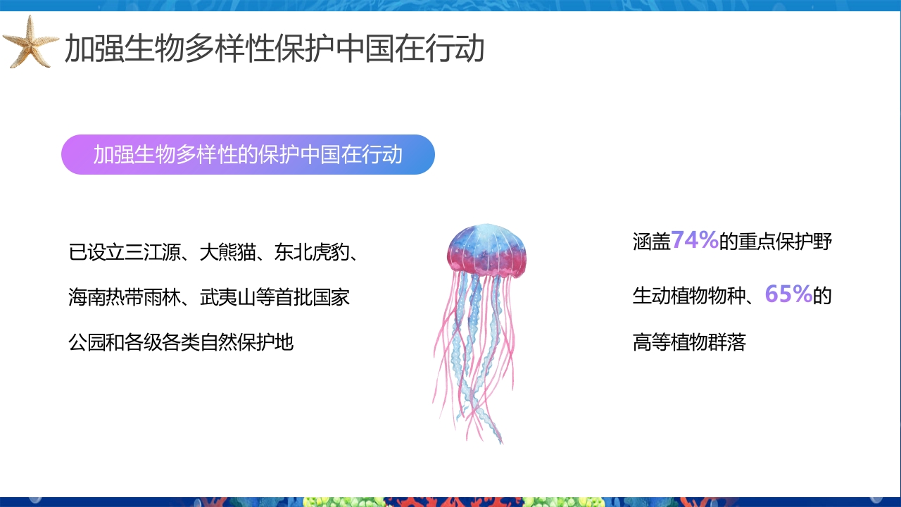 2024年第24个国际生物多样性日PPT课件16