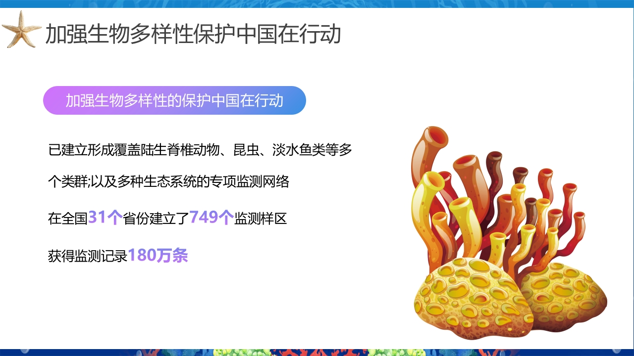 2024年第24个国际生物多样性日PPT课件18