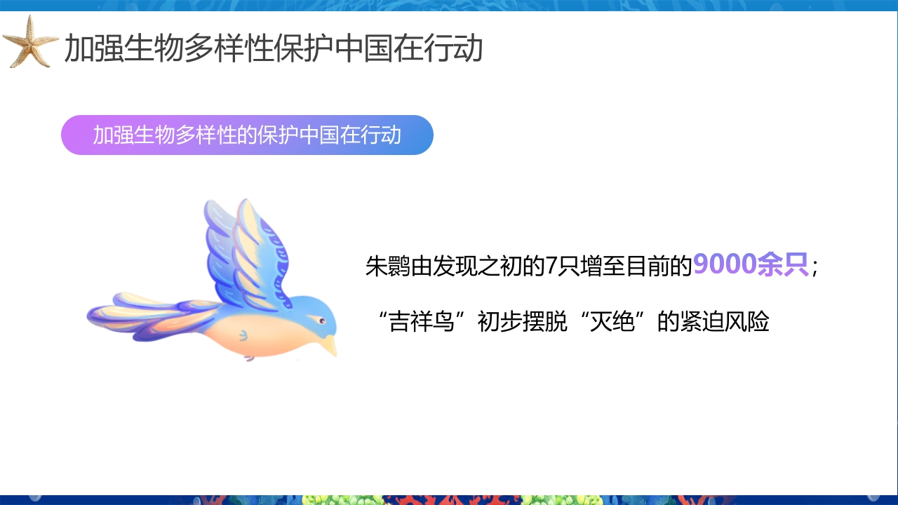 2024年第24个国际生物多样性日PPT课件20