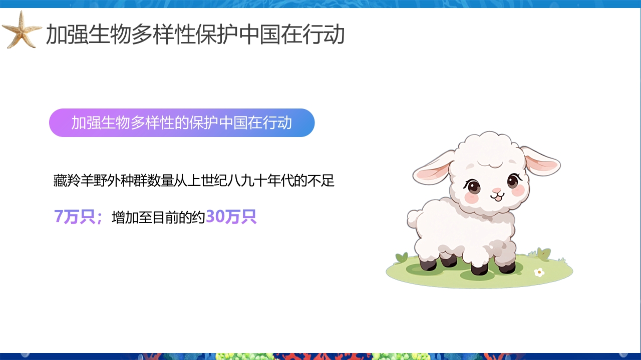 2024年第24个国际生物多样性日PPT课件21