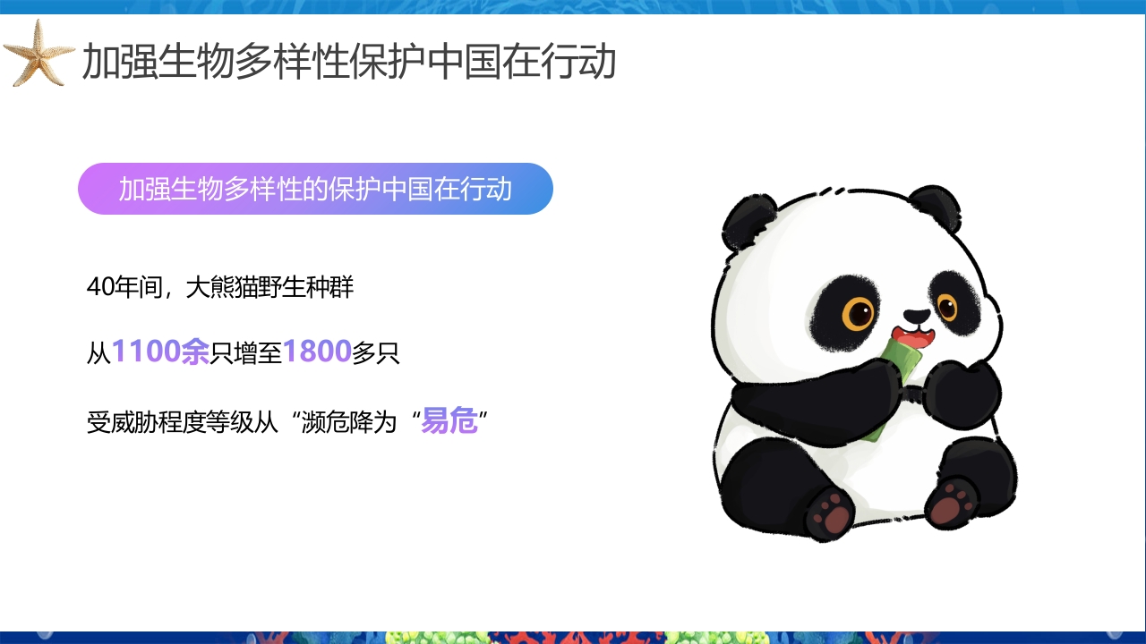 2024年第24个国际生物多样性日PPT课件22