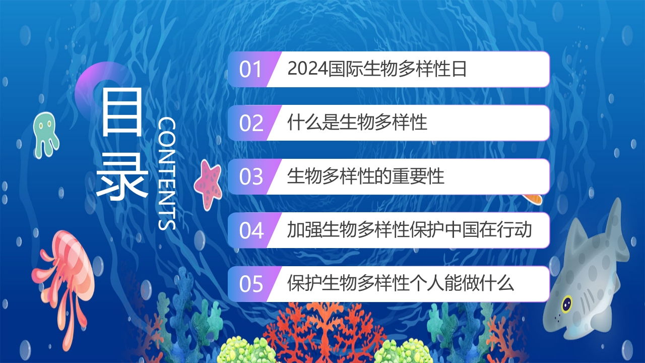 2024年第24个国际生物多样性日PPT课件2