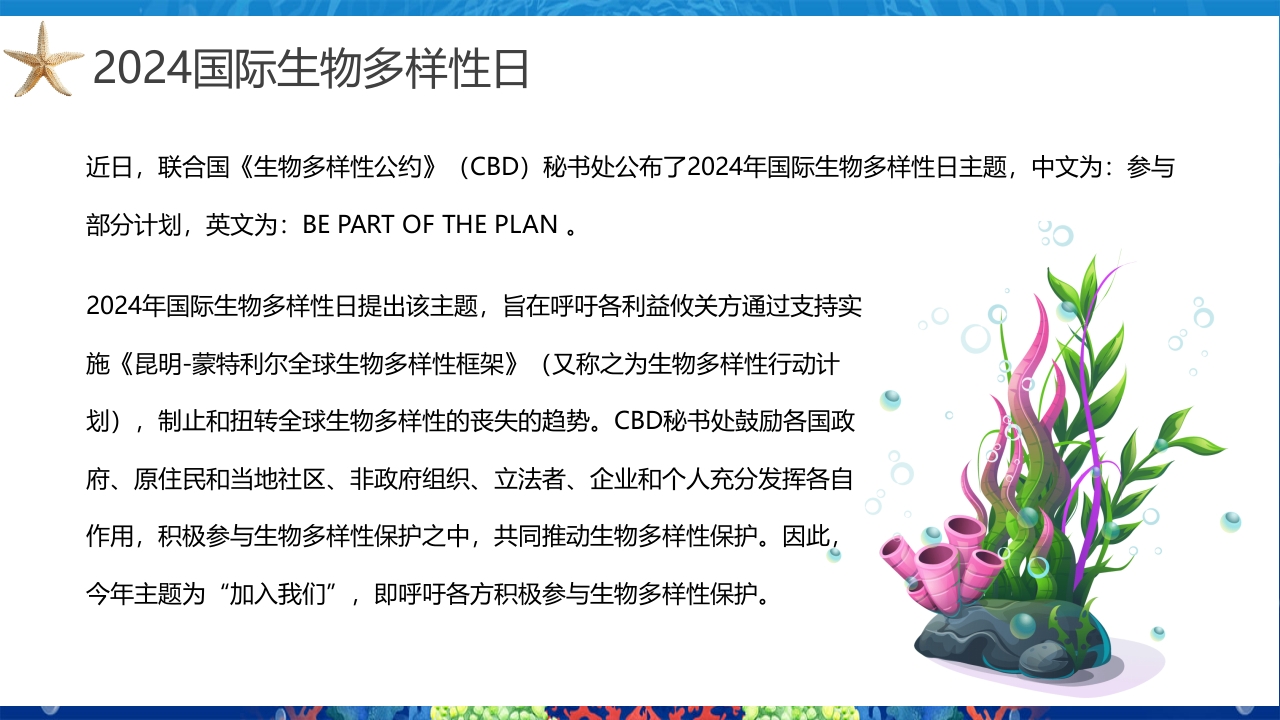 2024年第24个国际生物多样性日PPT课件4