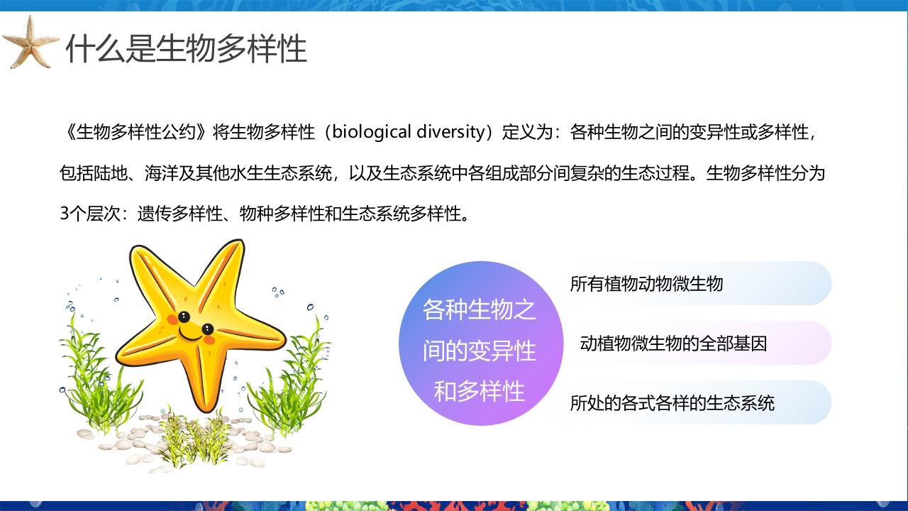 2024年第24个国际生物多样性日PPT课件6