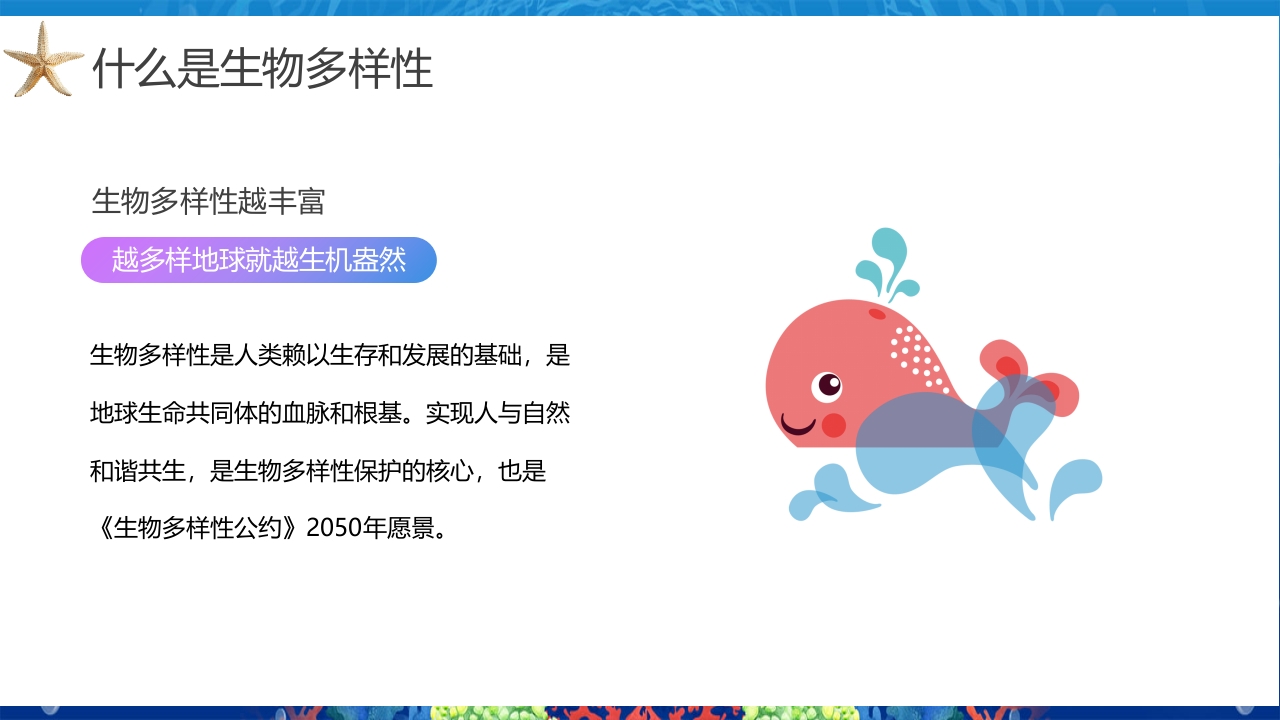 2024年第24个国际生物多样性日PPT课件7