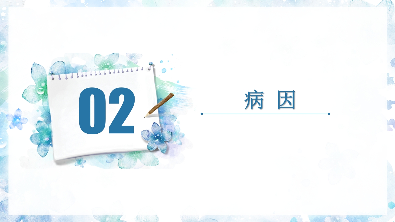 (骨筋膜室综合征)骨科小讲课PPT课件12