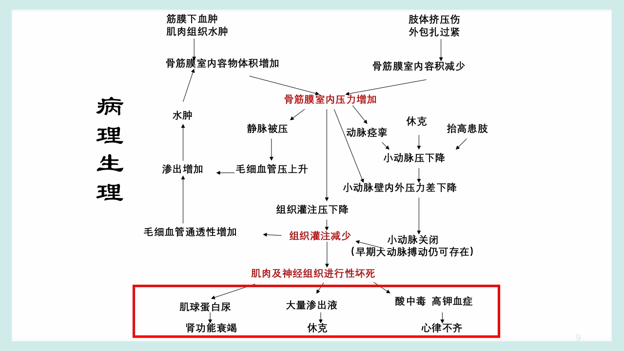 骨筋膜室综合征PPT课件9