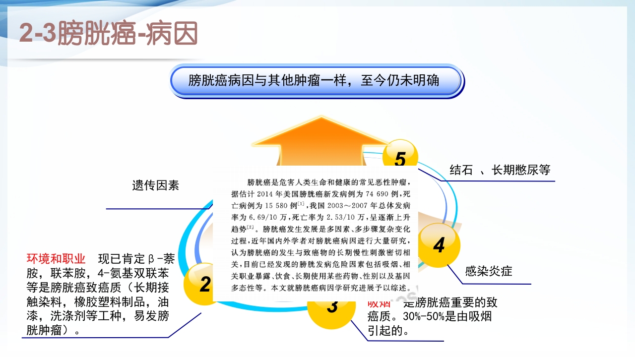 膀胱全切+回肠膀胱造口围手术期的护理查房ppt8