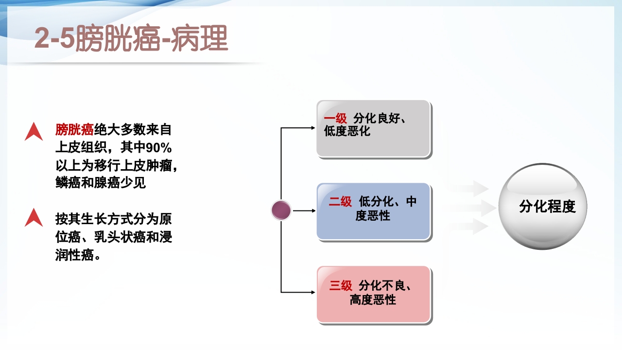 膀胱全切+回肠膀胱造口围手术期的护理查房ppt9