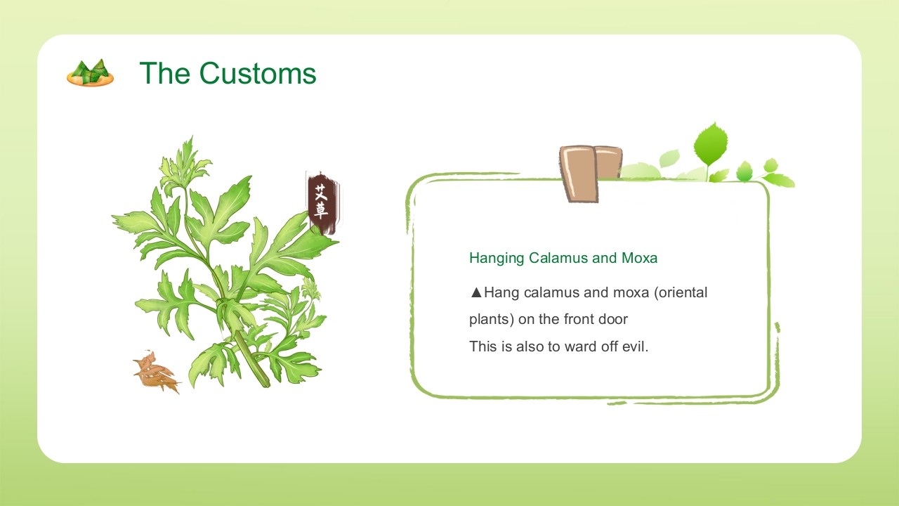 绿色清新端午节英文介绍PPT课件13