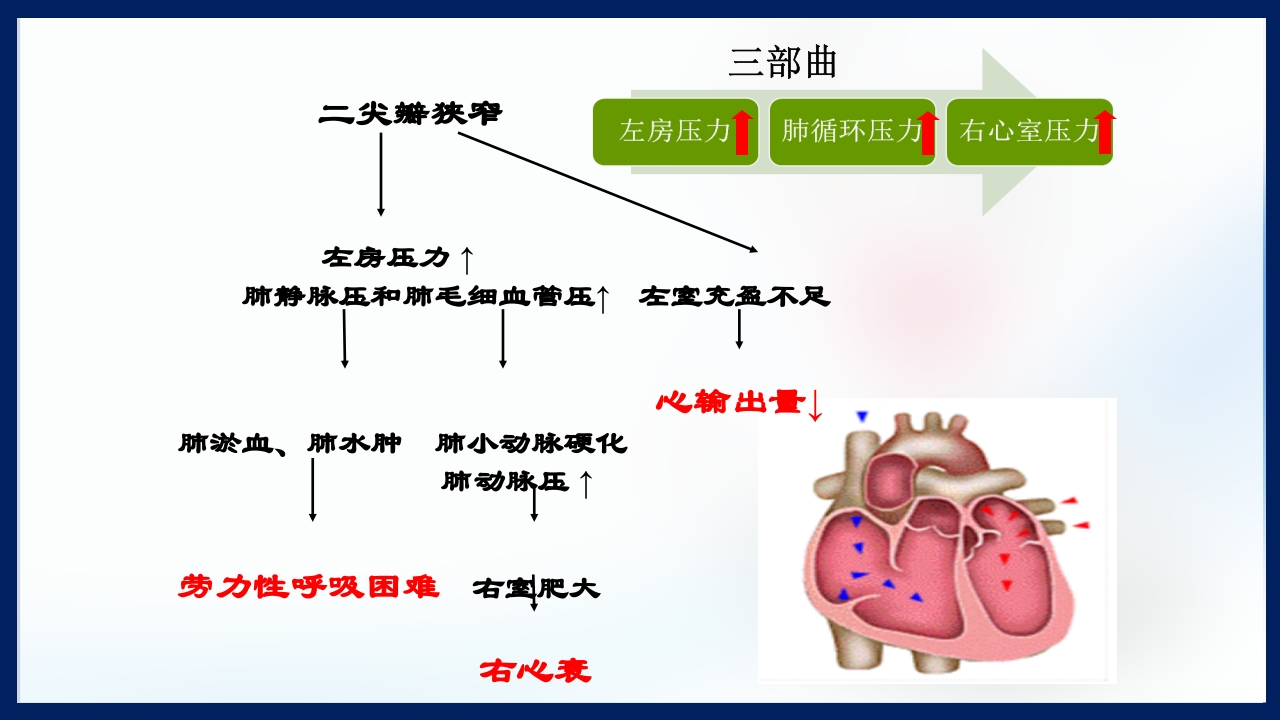 心脏瓣膜病PPT课件下载10