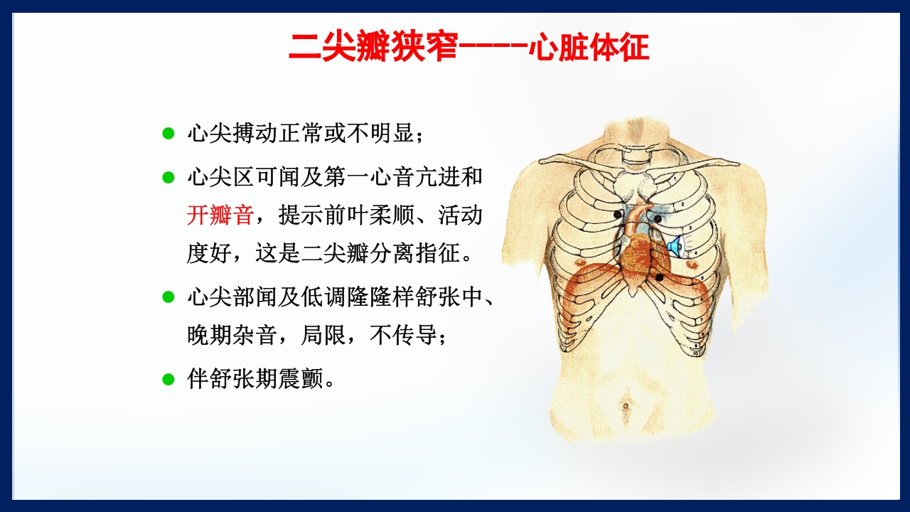 心脏瓣膜病PPT课件下载14