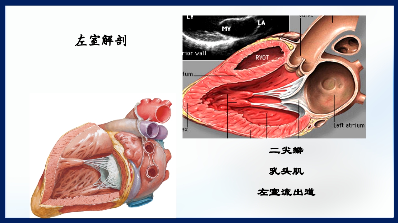 心脏瓣膜病PPT课件下载5