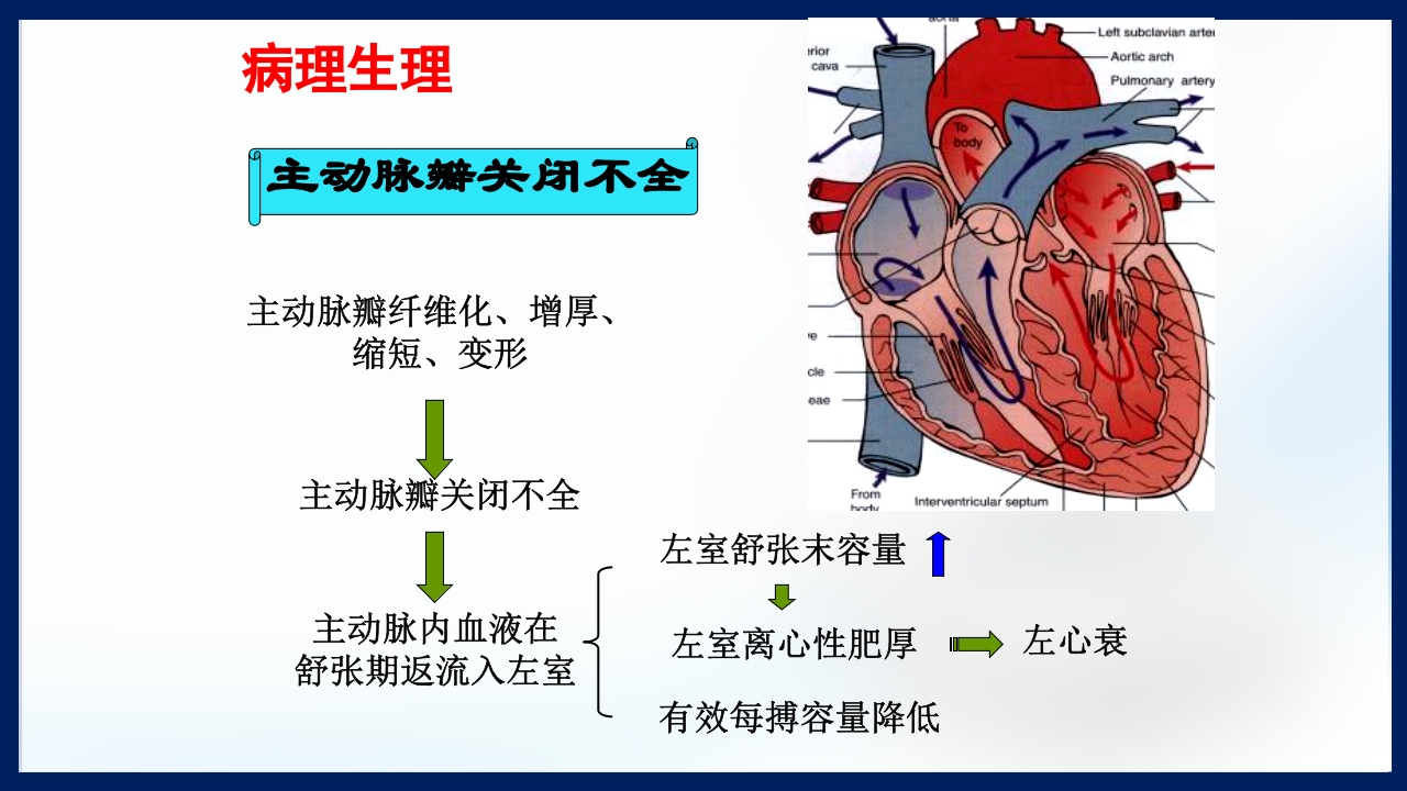 心脏瓣膜病PPT课件下载82