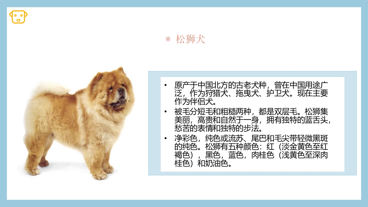 宠物狗的种类PPT课件10