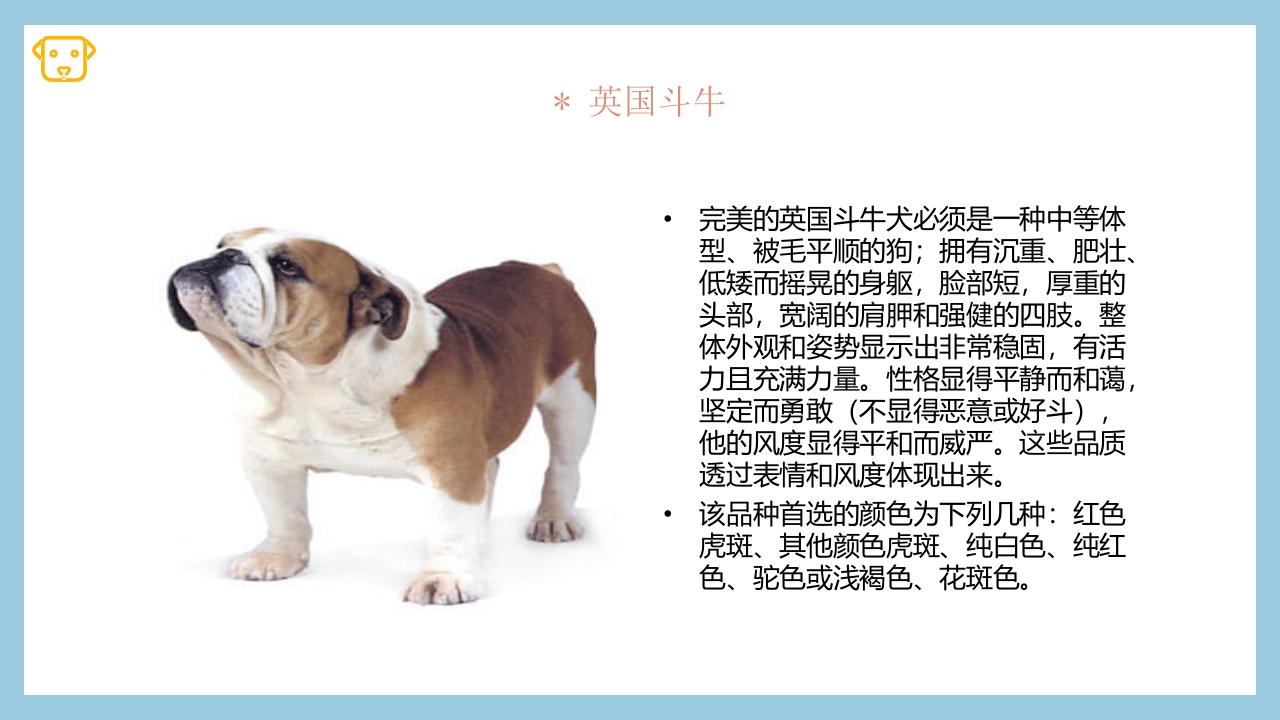 宠物狗的种类PPT课件11