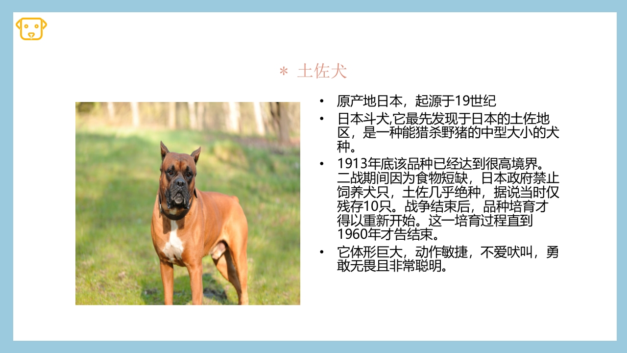 宠物狗的种类PPT课件12