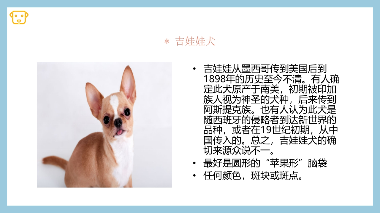 宠物狗的种类PPT课件14