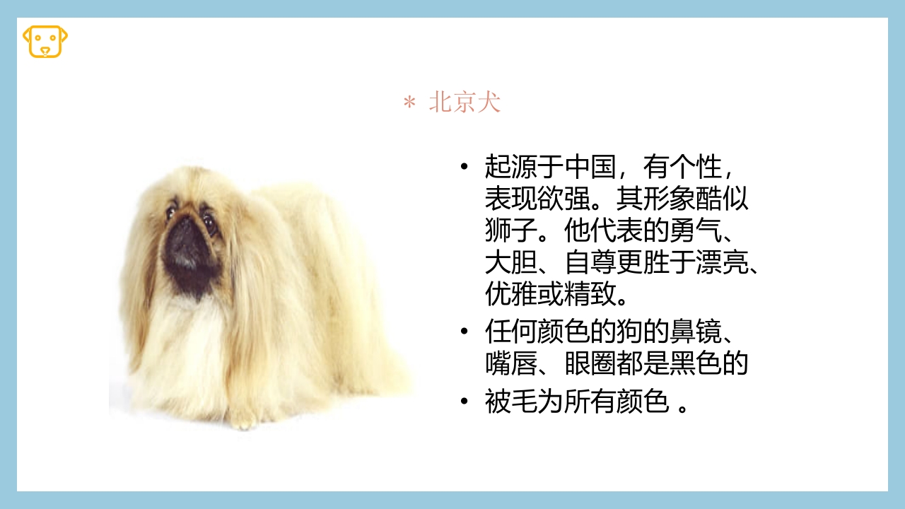 宠物狗的种类PPT课件15