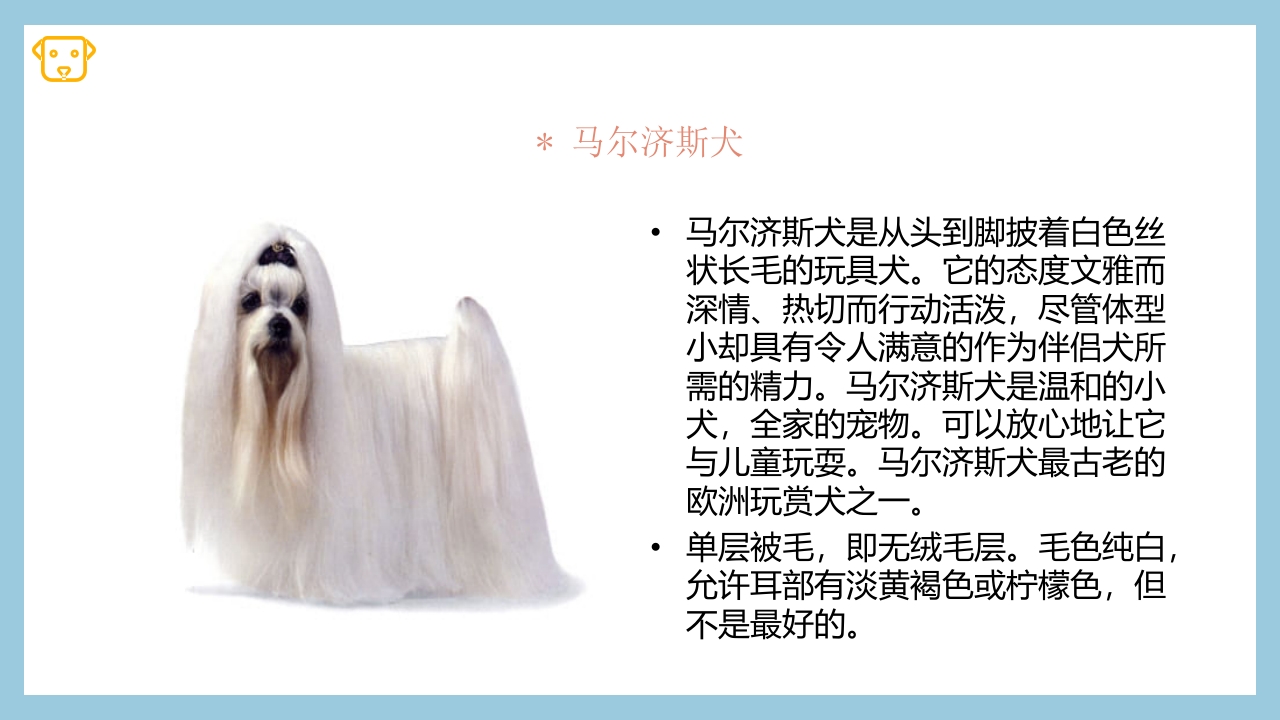 宠物狗的种类PPT课件18