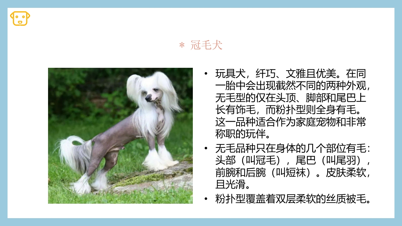 宠物狗的种类PPT课件19