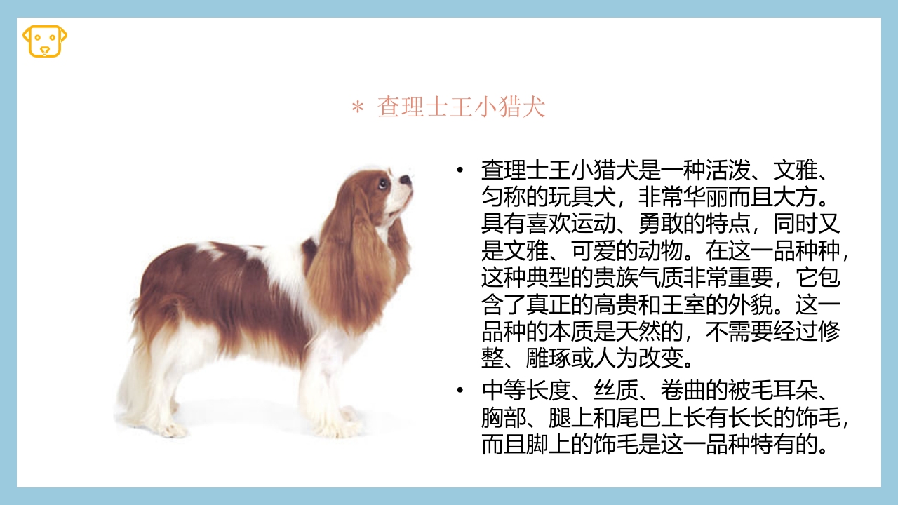 宠物狗的种类PPT课件21
