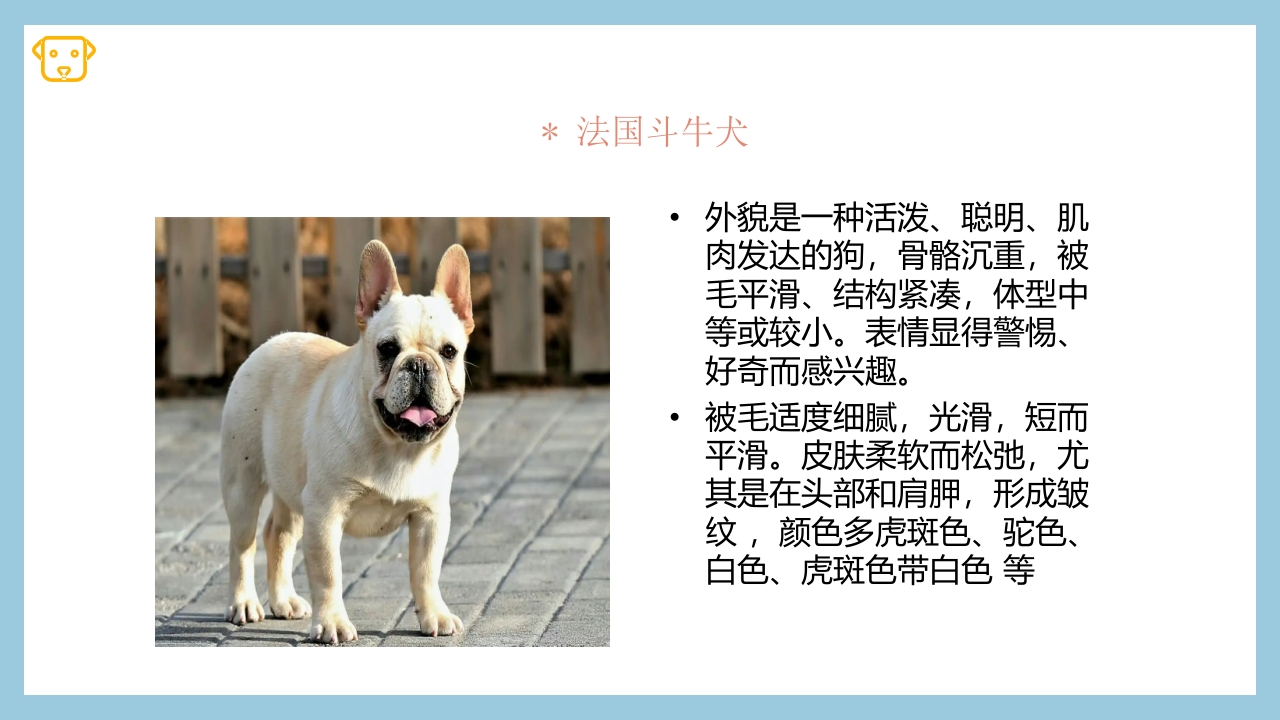 宠物狗的种类PPT课件23